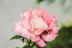 年度盘点!那些让球迷热血沸腾的网球史诗级对决,你还记得吗